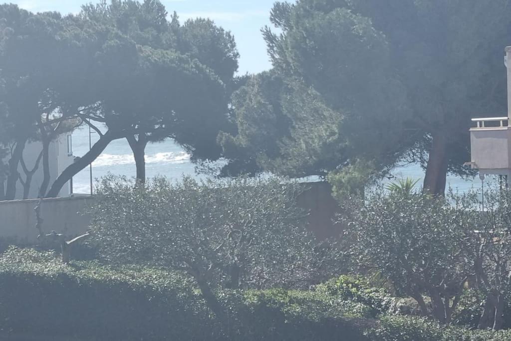 Privee A Sete, Corniche Apartment
